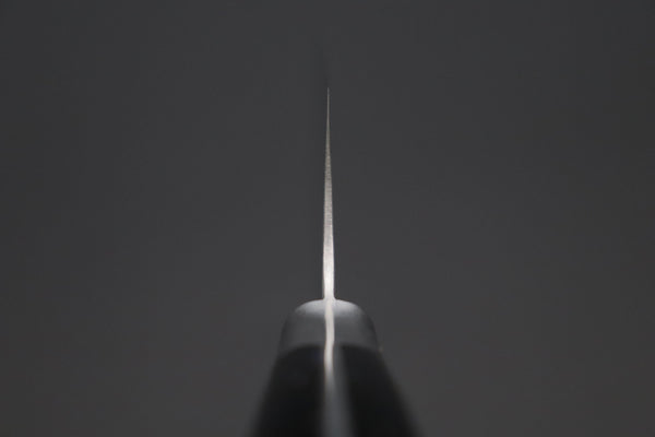 Hattori Gyuto Hattori Forums FH "NOAH" Series Gyuto (210mm to 270mm, 3 sizes, "Black Space" Corian® Handle)