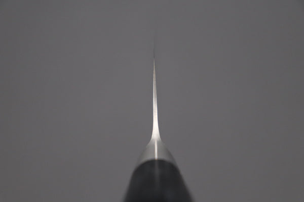 Kanetsugu Gyuto Kanetsugu Pro M Series Gyuto (180mm to 270mm, 4 sizes)