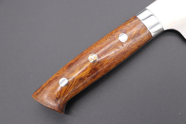 Takeshi Saji Gyuto Master Saji Rainbow Damascus Series Gyuto (180mm to 270mm, 4 Sizes, Ironwood Handle)