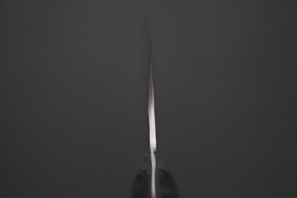 Takeshi Saji Gyuto TS-16 Gyuto240mm (9.4inch) “Ocean Sunshine”: Takeshi Saji VG-10 Hammered Damascus Series TS-16 Gyuto 240mm (9.4 Inch, Black Dupont Corian Handle)