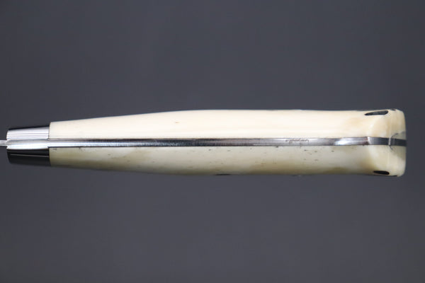 Takeshi Saji Gyuto Takeshi Saji SRS-13 Custom Series Gyuto (210mm and 240mm, 2 Sizes, Stag Bone Handle)