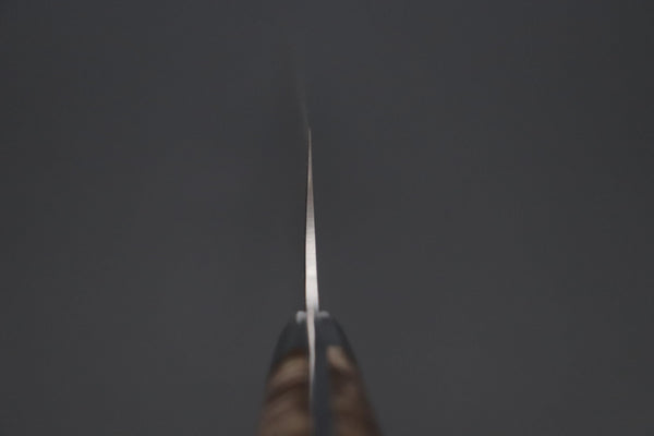 Takeshi Saji Gyuto Takeshi Saji SUMMIT ― Limited Edition Custom Series SMT-1089 VG-10W Multi-Colored Golden-Rainbow Damascus Gyuto 210mm (8.2 Inch)