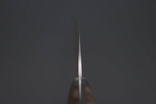 Takeshi Saji Gyuto Takeshi Saji SUMMIT ― Limited Edition Custom Series SMT-1090 VG-10W Multi-Colored Golden-Rainbow Damascus Gyuto 210mm (8.2 Inch)