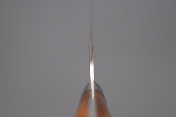 Takeshi Saji Nakiri Master Saji Rainbow Damascus Series Nakiri 165mm (6.4 inch, Ironwood Handle)