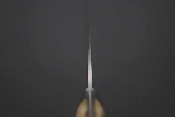 Takeshi Saji Nakiri Nakiri 165mm Takeshi Saji VG-10W Multi-Colored Golden-Rainbow Damascus Series TS-9 Nakiri 165mm (6.4 Inch, Smooth Bone Handle)