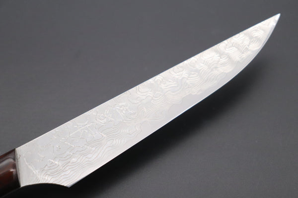 Takeshi Saji Steak Knife Takeshi Saji R-2 Diamond Damascus Steak Knife (Desert Ironwood Handle, TS-1)