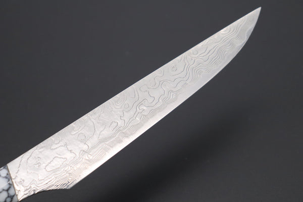 Takeshi Saji Steak Knife Takeshi Saji R-2 Diamond Damascus Steak Knife (White Turquoise Gem-Composite Stone Handle, TS-2)