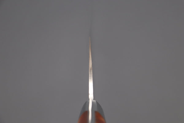 Takeshi Saji Gyuto Takeshi Saji SUMMIT ― Limited Edition Custom Series SMT-546 R-2 Custom Damascus Gyuto 240mm (9.4 Inch)